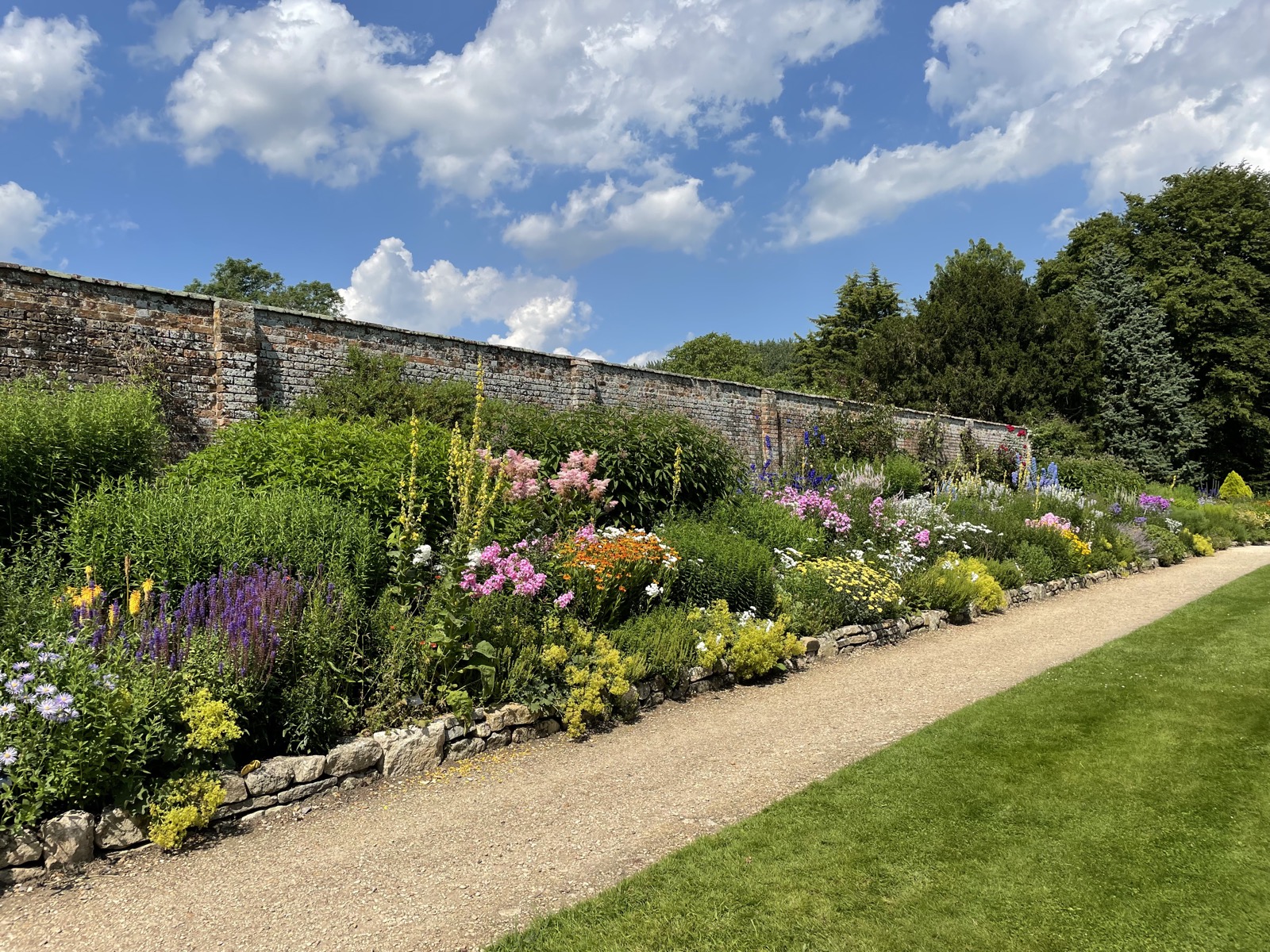 Sunlit flower border along a stone wall beside a gravel path and lawn