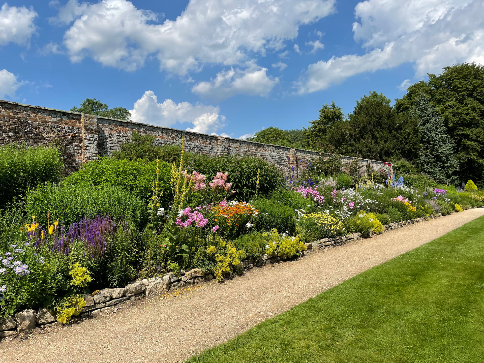 Herbaceous flower border in bloom beside a gravel path and stone wall under a bright summer sky