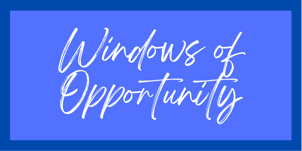 WINDOWS OF OPPORTUNITY - Ameena Goga, Pretoria/Geneva
