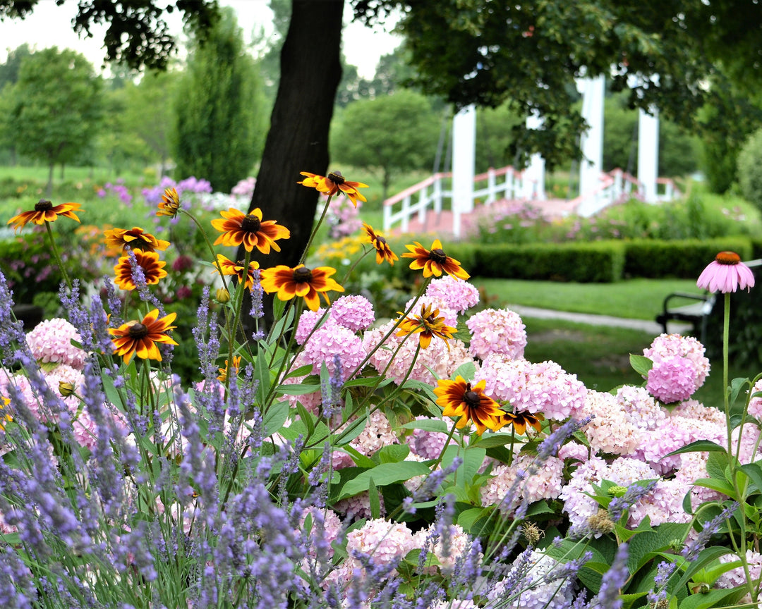 Enjoying Wisdom in Practice Retreat - 01-03 May 2026