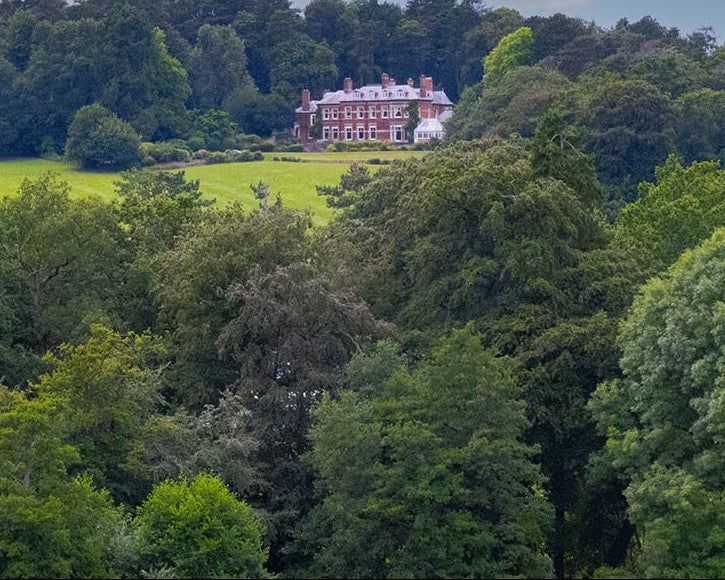 Manor house hidden among trees in a lush green landscape